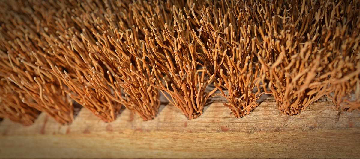 Brosse pour nettoyer une terrasse en bois